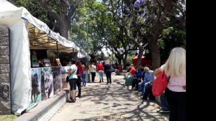 al paseo navideno en la grigera se suma la feria de las colectividades al paseo navideno en la grigera se suma la feria de las colectividades