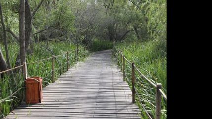 el sabado se inaugura la reserva municipal de avellaneda