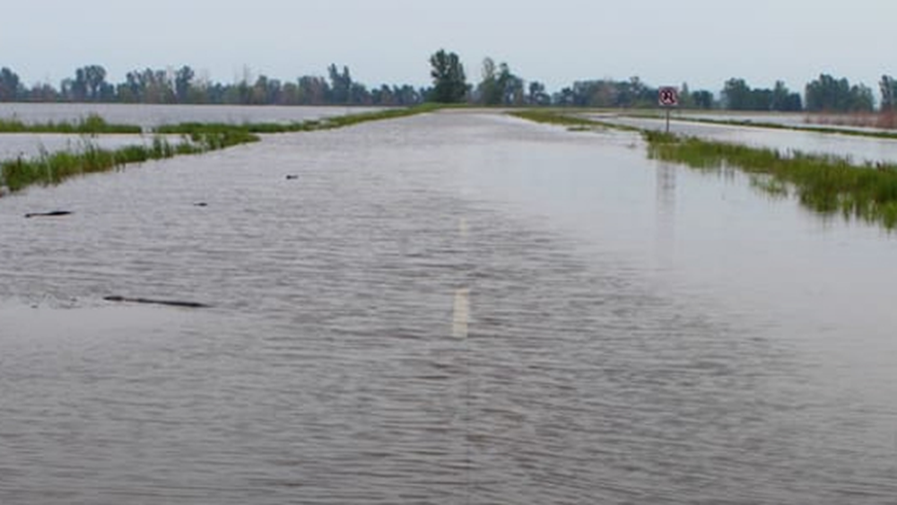 El Niño en el conurbano bonaerense: los peligros que podría transitar la región.