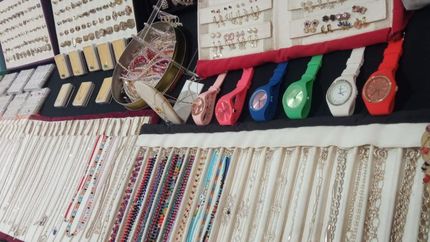 Diario La Unión | Suman nuevos rubros a la feria Expo del Sol que sigue durante enero y febrero.