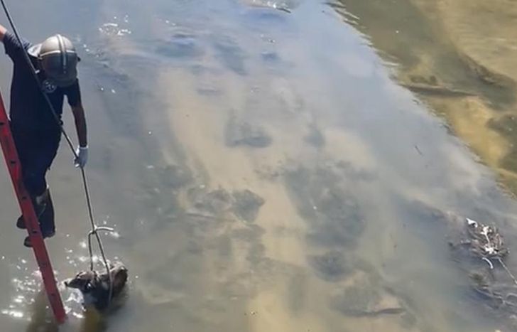 El momento del rescate.