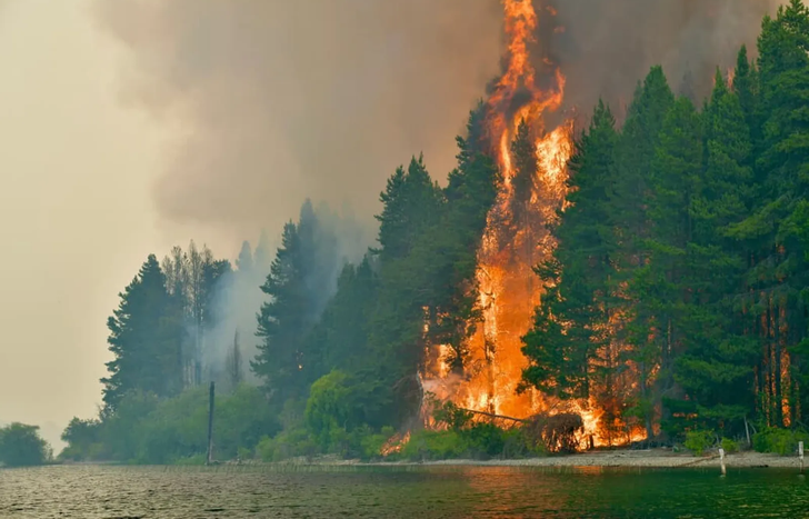 El fuego avanza en la Patagonia. Paralelamente, la solidaridad se hace presente en Lomas de Zamora.