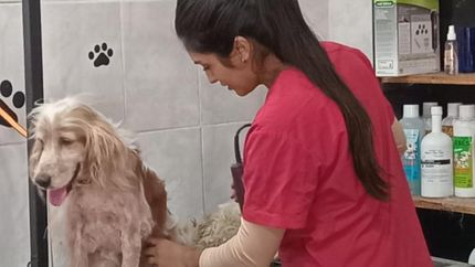 Carla es una apasionada de los animales y disfruta de su trabajo diario.