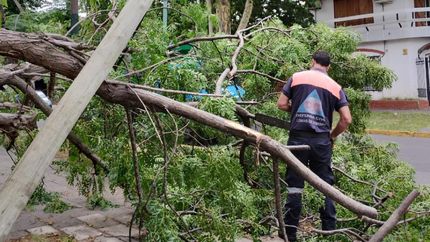 Defensa Civil de Lomas intervino en el lugar.