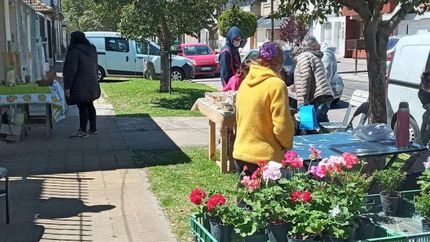 En Melo al 900, Banfield se desarrollará la feria N°13.