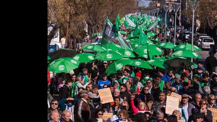 piden que el valor del salario minimo sea igual a la canasta basica