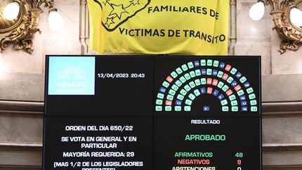 Tuvo 48 votos afirmativos y 9 en contra.