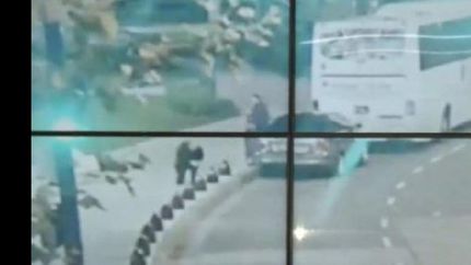 La ministra afirmó que el hecho estuvo premeditado.