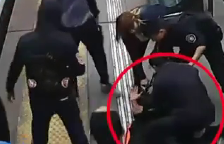 Rápida reacción de los usuarios del tren para impedir la fuga del ladrón.