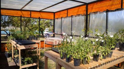 Armaron un invernáculo para potenciar la producción de plantas nativas. Armaron un invernáculo para potenciar la producción de plantas nativas.