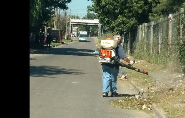 Las cuadrillas fumigaron para prevenir la aparición del mosquito portador del dengue.