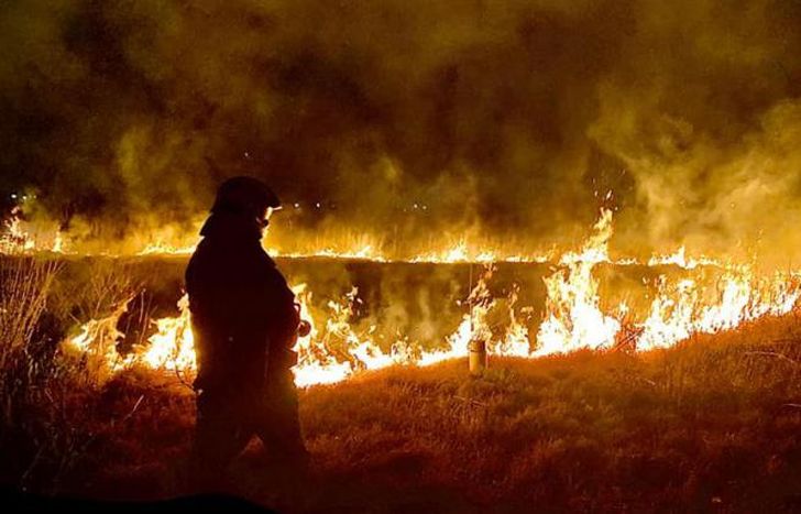 Un equipo de 20 bomberos estuvo trabajando en el lugar.