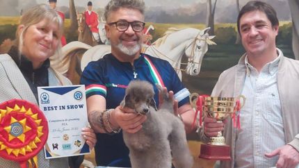 Diario La Unión | Un caniche de 8 años se llevó el primer premio.