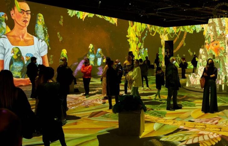 Se puede visitar hasta marzo.