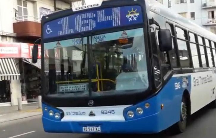 Son más de 80 líneas de colectivos.