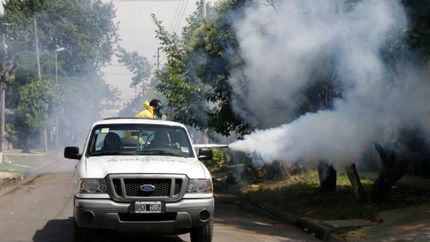 Crece la epidemia del dengue en la región con 813 casos confirmados