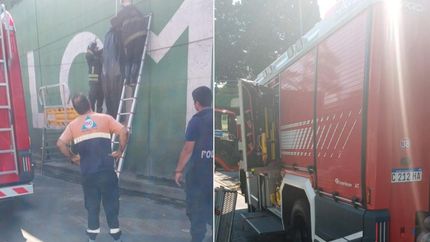 Trabajaron para descolgar el cadáver de la víctima.