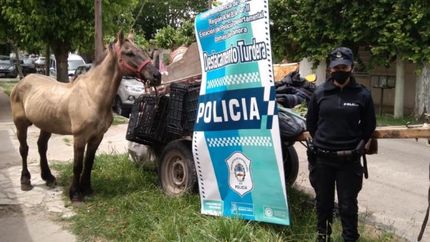 Lograron rescatarlo.