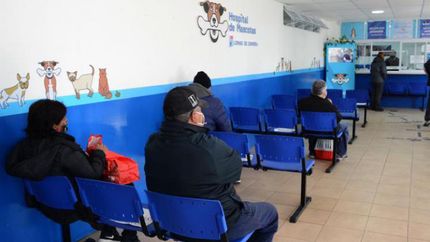 a partir de manana se habilita la agenda de turnos para castraciones en zoonosis lomas