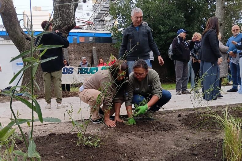 Centros de jubilados plantaron árboles y tuvieron un taller ambiental.