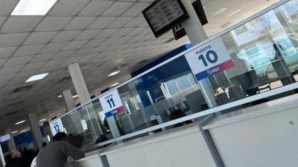 Gestionan licencias originales, duplicados, renovaciones, ampliaciones y reemplazos.