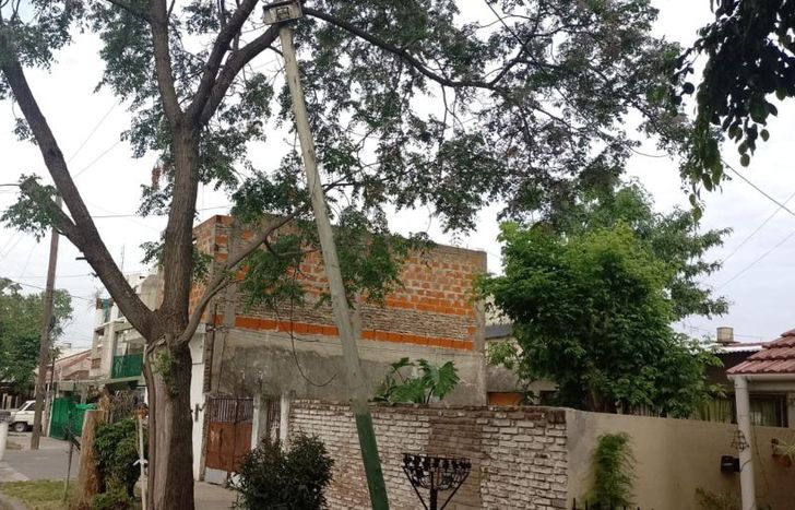 El poste es sostenido por el árbol y está a punto de caerse.