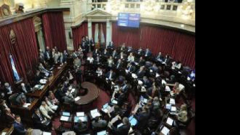 senado