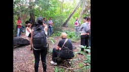 Lomas: una aplicación para conocer más sobre la Reserva Natural