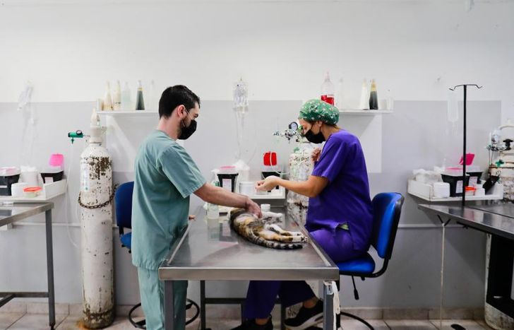 El hospital es de características únicas en la Provincia.