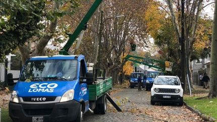 relevaran 1600 cuadras en el marco del plan estrategico de arbolado urbano