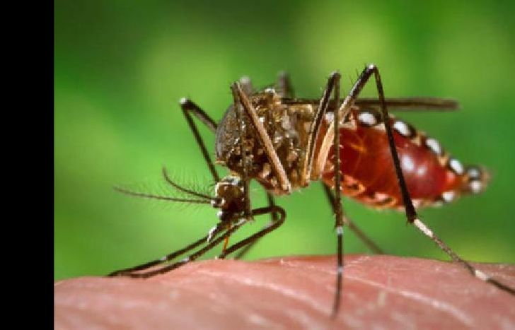 piden compromiso y prevención para evitar contagios.