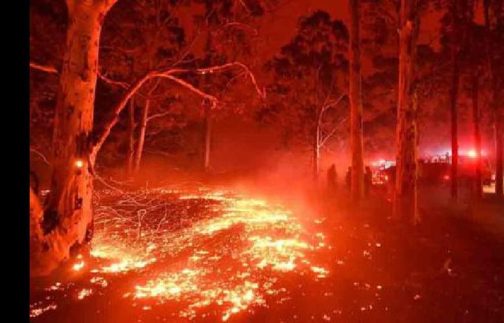 La baja de casi 20 grados de las temperaturas dio un respiro a los bomberos.