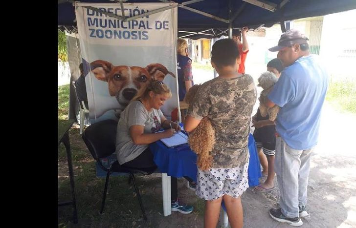 el área de zoonosis aplicó vacunas antirrábicas a perros y gatos.