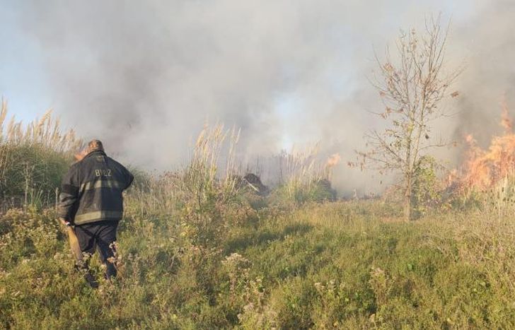 El incendio se desarrolló en el predio de Covelia.