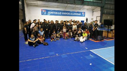 el torneo se organizó por categorías basadas en la edad, sexo y cinturón.