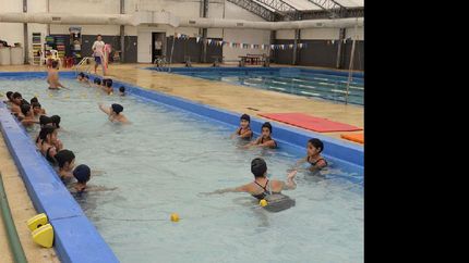 arrancan las clases de natacion gratuitas para miles de alumnos arrancan las clases de natacion gratuitas para miles de alumnos