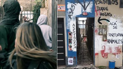 La marcha de los proteccionistas y la agresión.