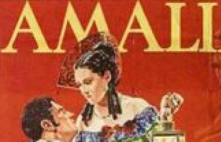 El afiche de Amalia.