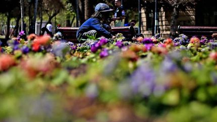 Diario La Unión | Ya llega la primavera.