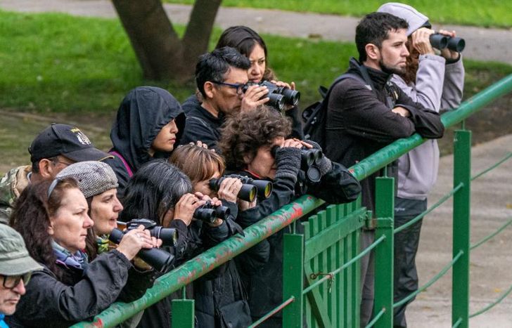 Harán una avistaje de aves en la zona del humedal.