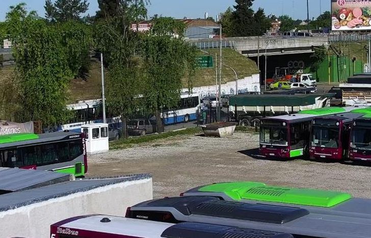 Los colectivos en el playón sin salir, una postal repetida.