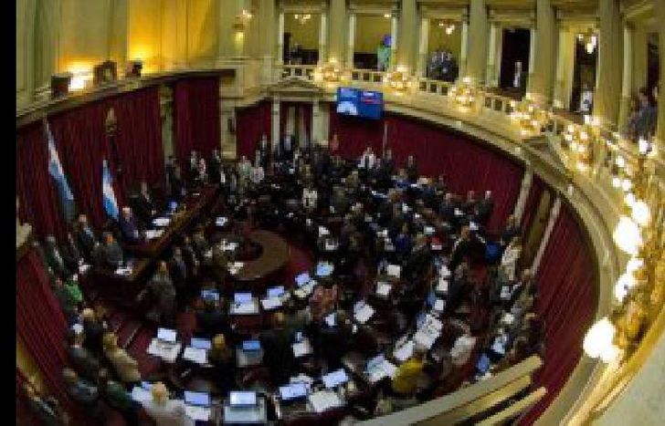 senado