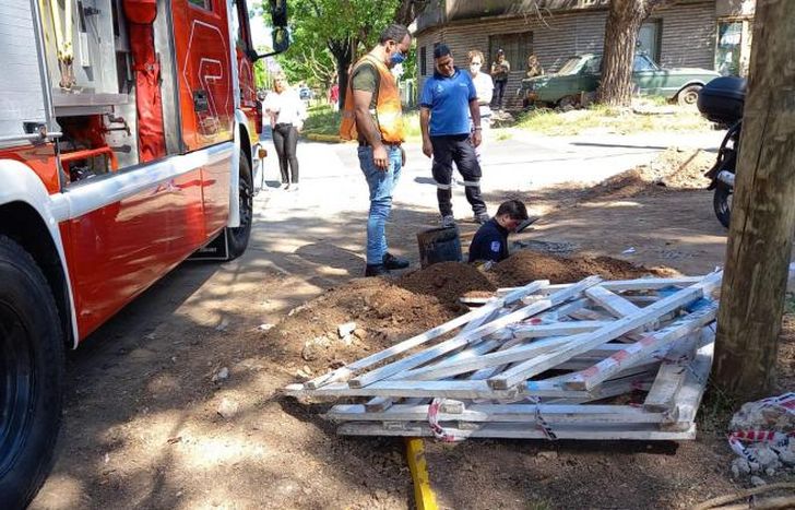 El animal no estaba en lugar accesible.