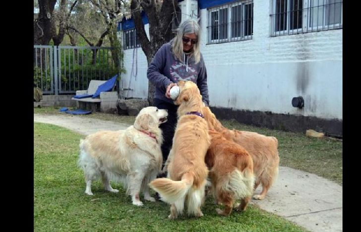el uso de mascotas en terapias se remonta a 1792, en inglaterra.