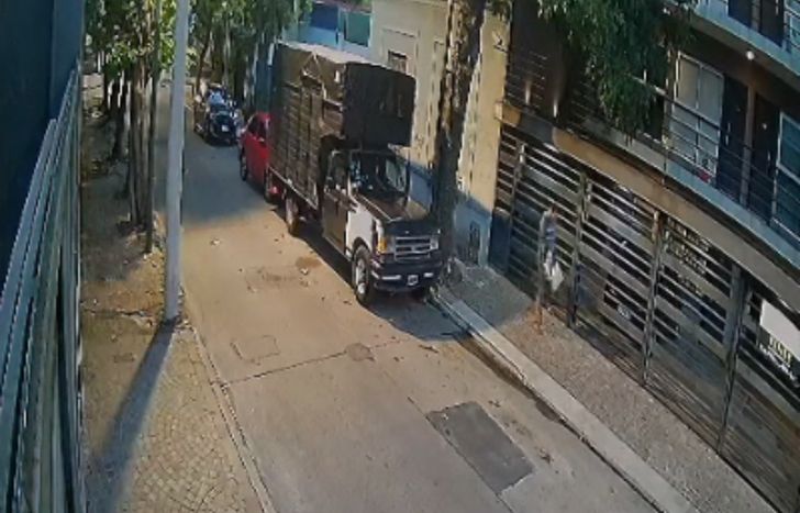 El robo del gato en el barrio Inglés de Temperley quedó filmado.