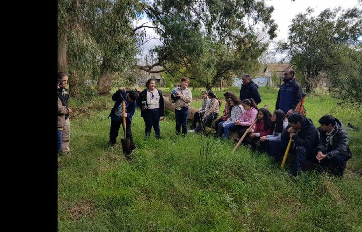 a lo largo de este mes habrá múltiples propuestas gratuitas.