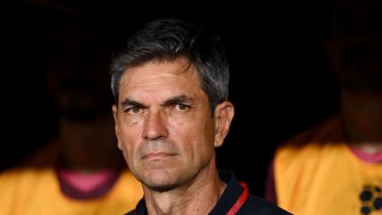 Mauricio Pellegrino quiere levantar otra copa internacional con Lanús. Mauricio Pellegrino quiere levantar otra copa internacional con Lanús.