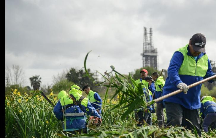 Limpian los márgenes a fondo.