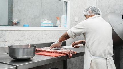 Hay ofertas laborales en varios rubros y especialidades.