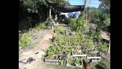 Crean un nuevo espacio con el fin de multiplicar la cantidad de plantas en las plazas de Lomas